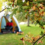 7 Things You Should Do When You Get Back from a Camping Trip