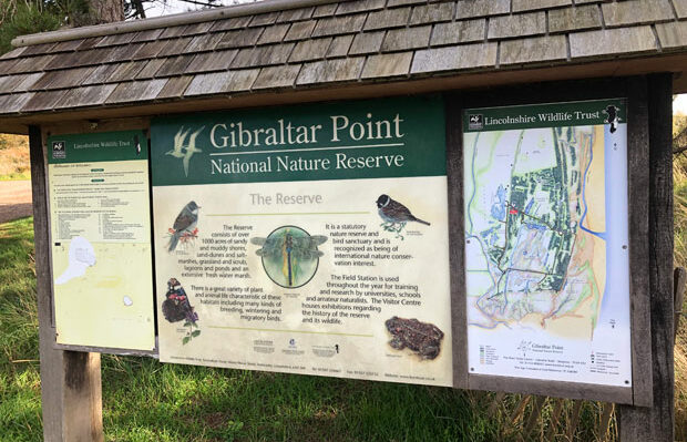 Gibraltar Point Skegness Walk Visiting Gibraltar Point National Nature Reserve Minimalist Family Adventures