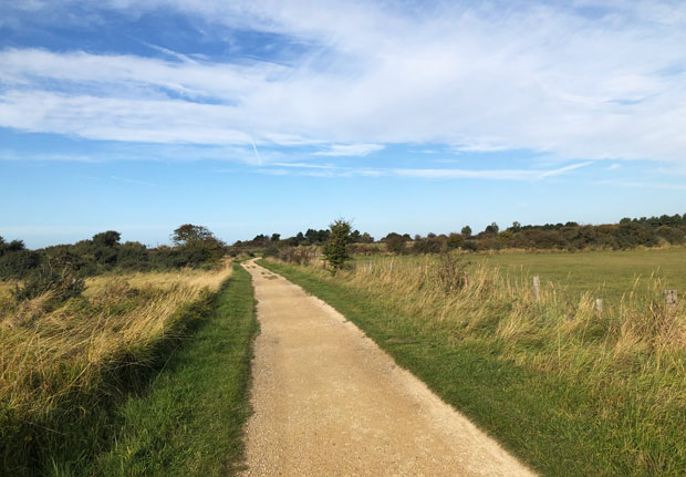 Gibraltar Point Skegness Walk Visiting Gibraltar Point National Nature Reserve Minimalist Family Adventures