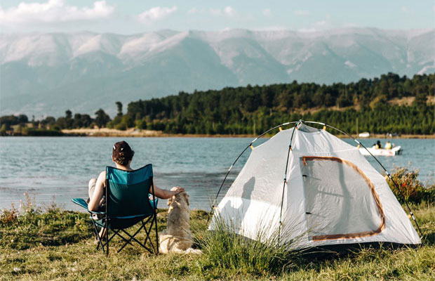 Tips for Camping with your Dog